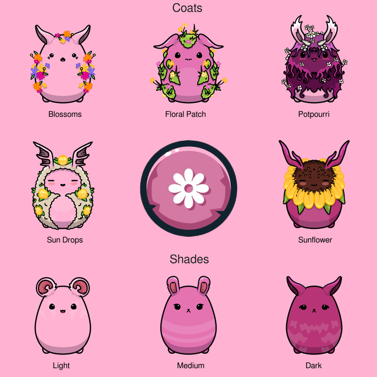 Coats and Shades of Flower Chumbi