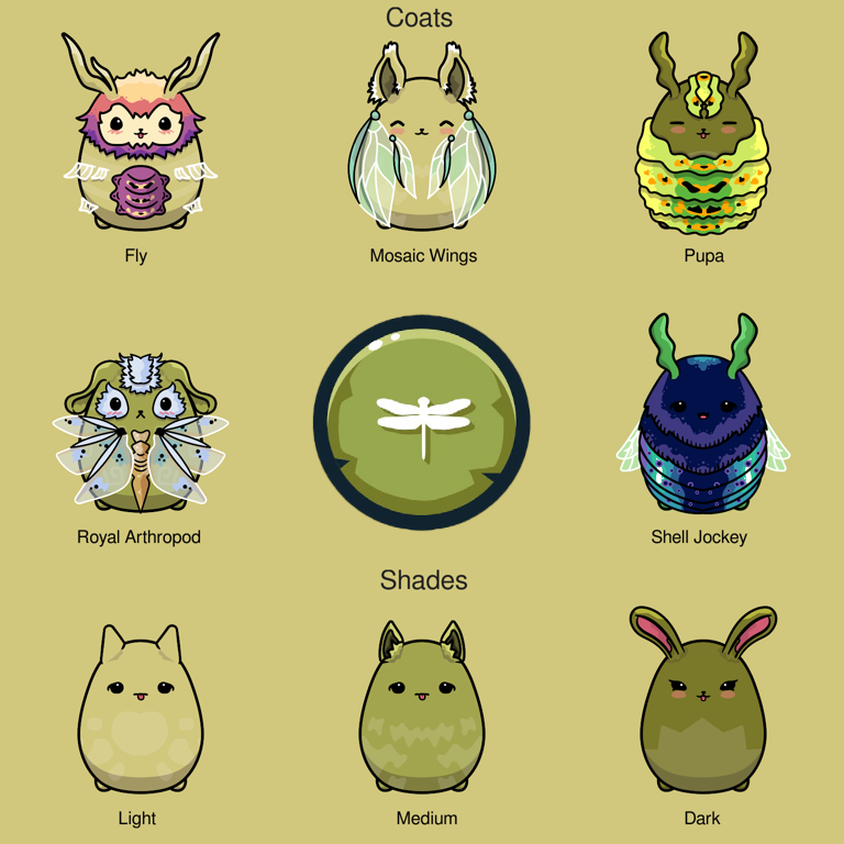 Insect Chumbi coats and shades
