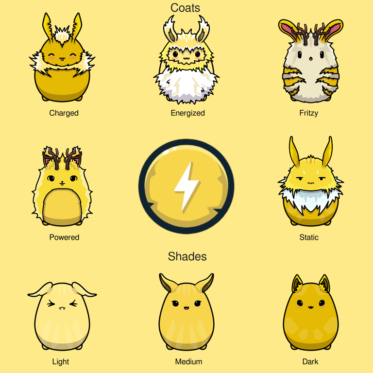 Coats and Shades of Spark Chumbi