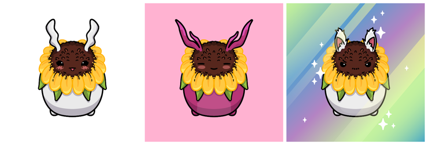 Sunflower coat Sun Dance secondary attack