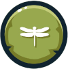 insect